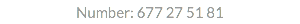 Number: 677 27 51 81