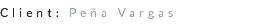 Client: Peña Vargas